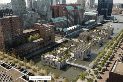 Hollanda'nın yüzen köy projesi, sürdürülebilir şehir yaşamına öncülük ediyor.