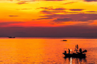 2023 Okyanus Sıcak Hava Dalgaları Küresel İklim İçin Uyarı Niteliğinde