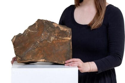 Mars göktaşı NWA 16788 satıldı