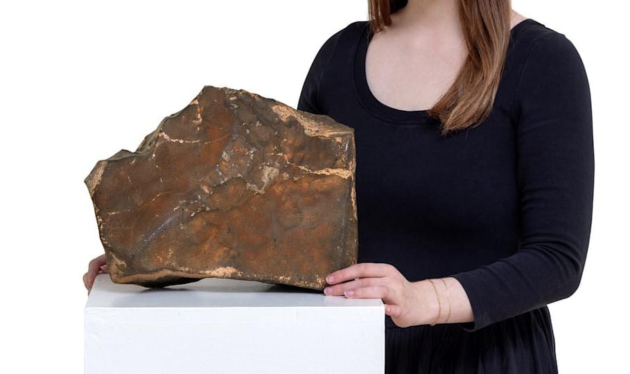 Mars göktaşı NWA 16788 satıldı